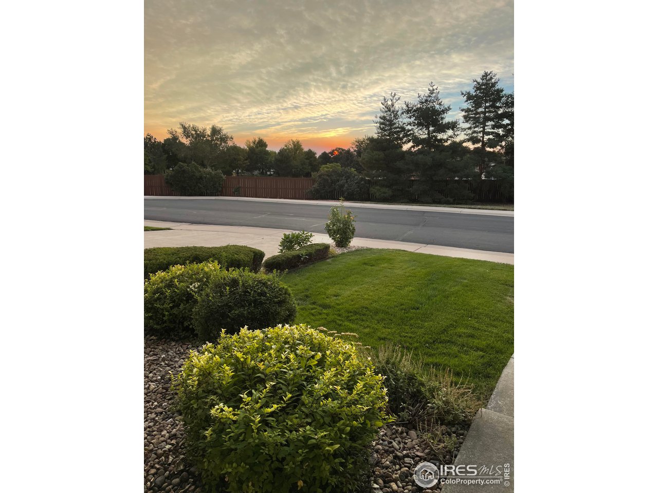 1695 Westward Drive Lafayette, CO 80026 - Photo 38 of 40 View in front at sunrise