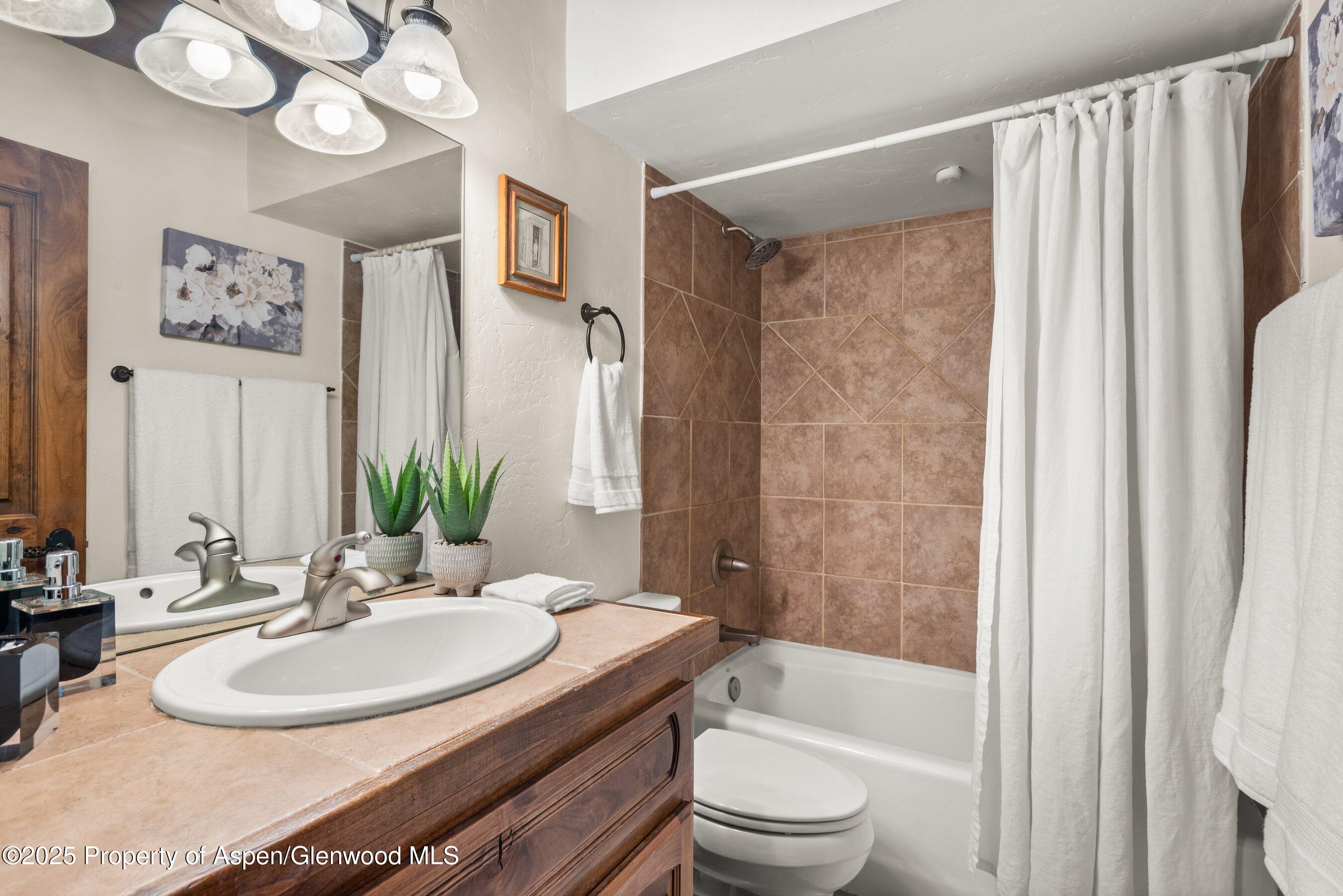 1472 Main Street Carbondale, CO 81623 - Photo 19 of 25 1472Main_250609033