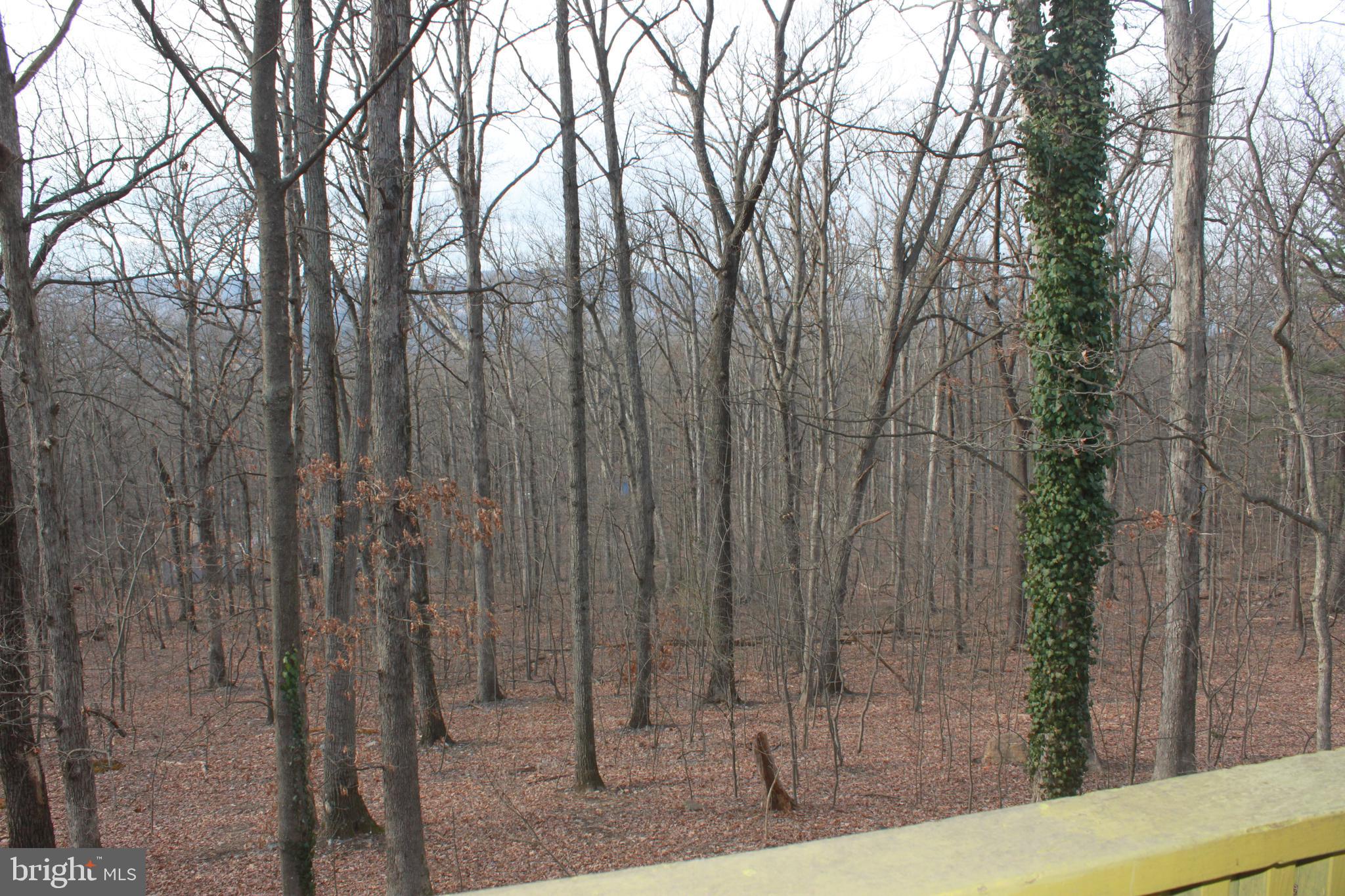 844 Nancy Jack Road Gerrardstown, WV 25420 - Photo 6 of 26 Rear Deck View