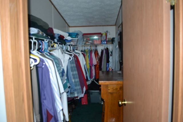 5393 West Fillmore Road Ithaca, MI 48847 - Photo 20 of 31 1826501-19.JPG