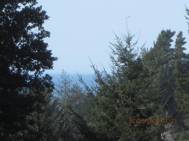 209 Spring Road Shelter Cove, CA 95589 - Photo 6 of 27 IMG_4463