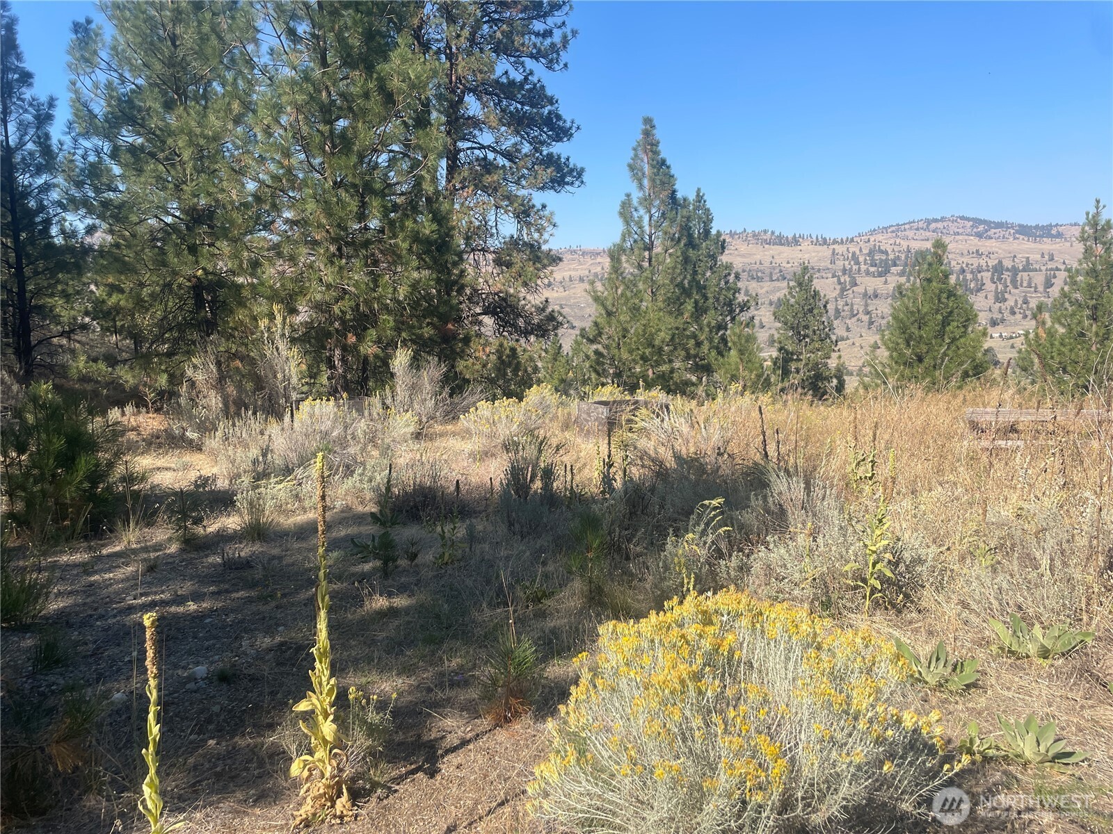 -tbd Reevas Basin Road Tonasket, WA 98855 - Photo 38 of 38