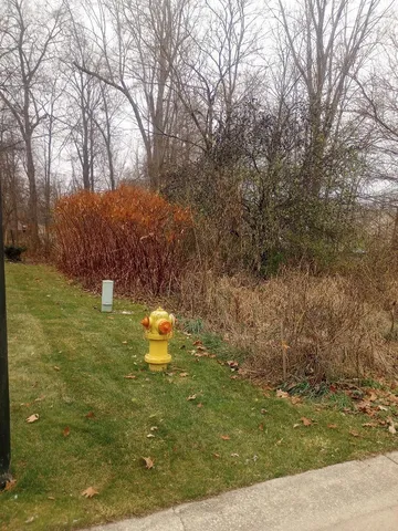 $24,500 | 4093 Libbie Drive, Clio, MI 48420