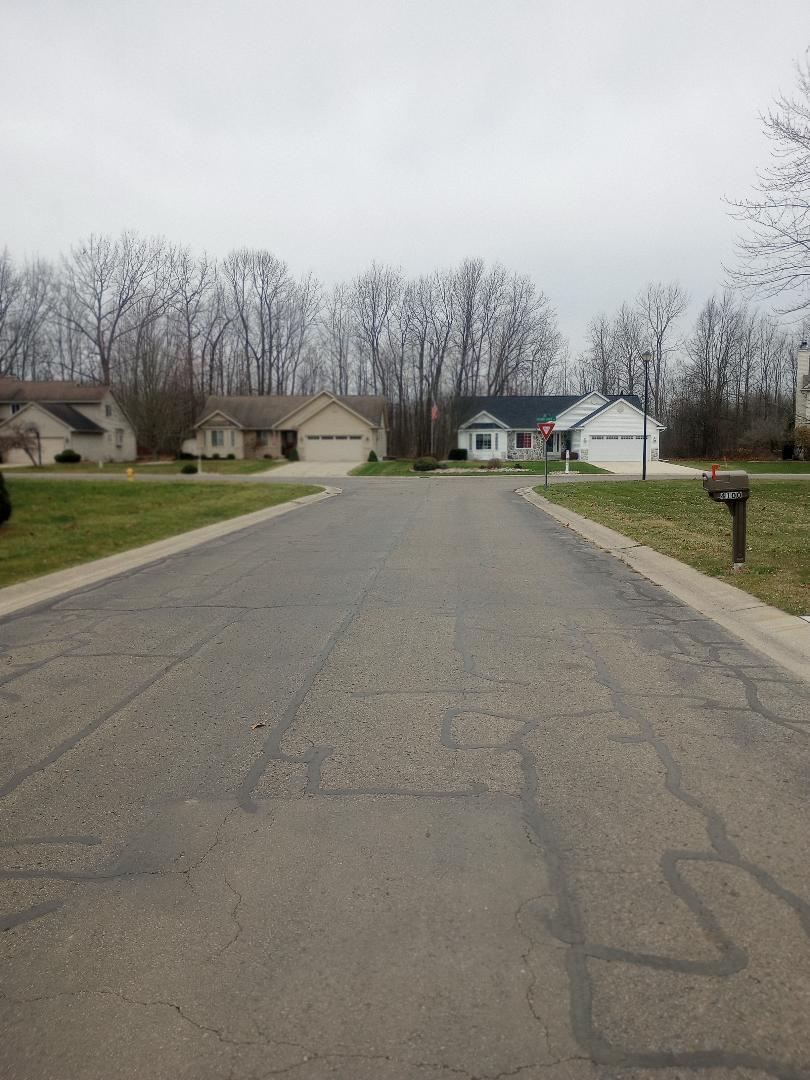 4093 Libbie Drive Clio, MI 48420 - Photo 3 of 4 lot6