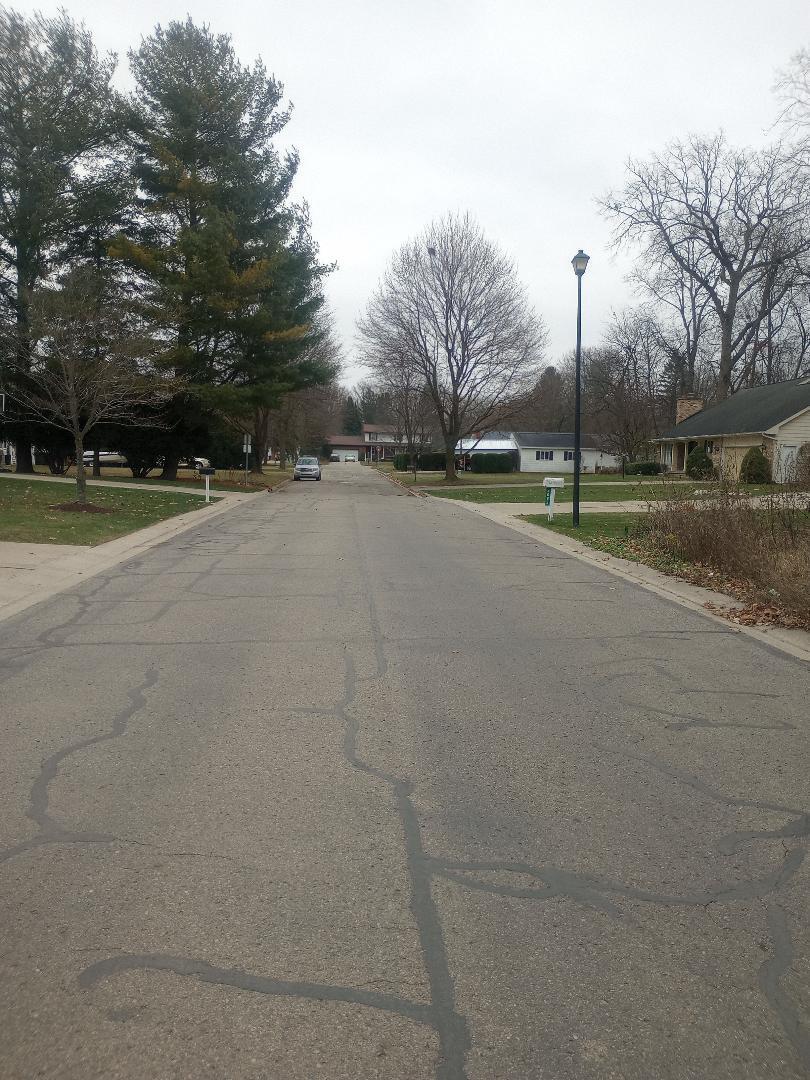 4093 Libbie Drive Clio, MI 48420 - Photo 4 of 4 lot5