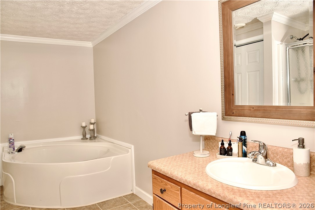 1071 Watts Road Lumberton, NC 28360 - Photo 17 of 31 a bathroom with a sink and a mirror