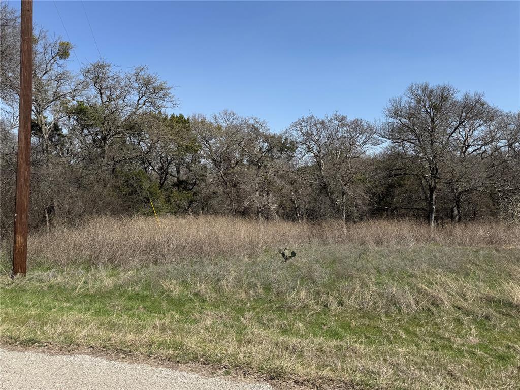 10053 Bluffview Court Whitney, TX 76692 - Photo 2 of 6 a view of a lake view