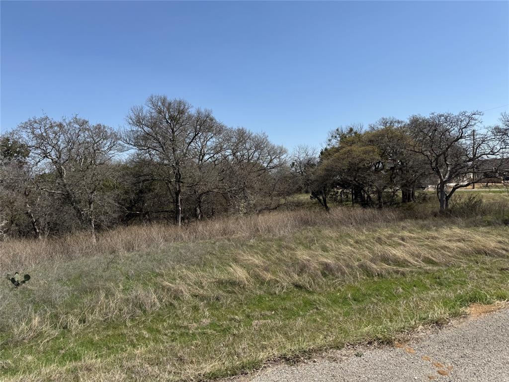 10053 Bluffview Court Whitney, TX 76692 - Photo 3 of 6 a view of a dry yard with trees