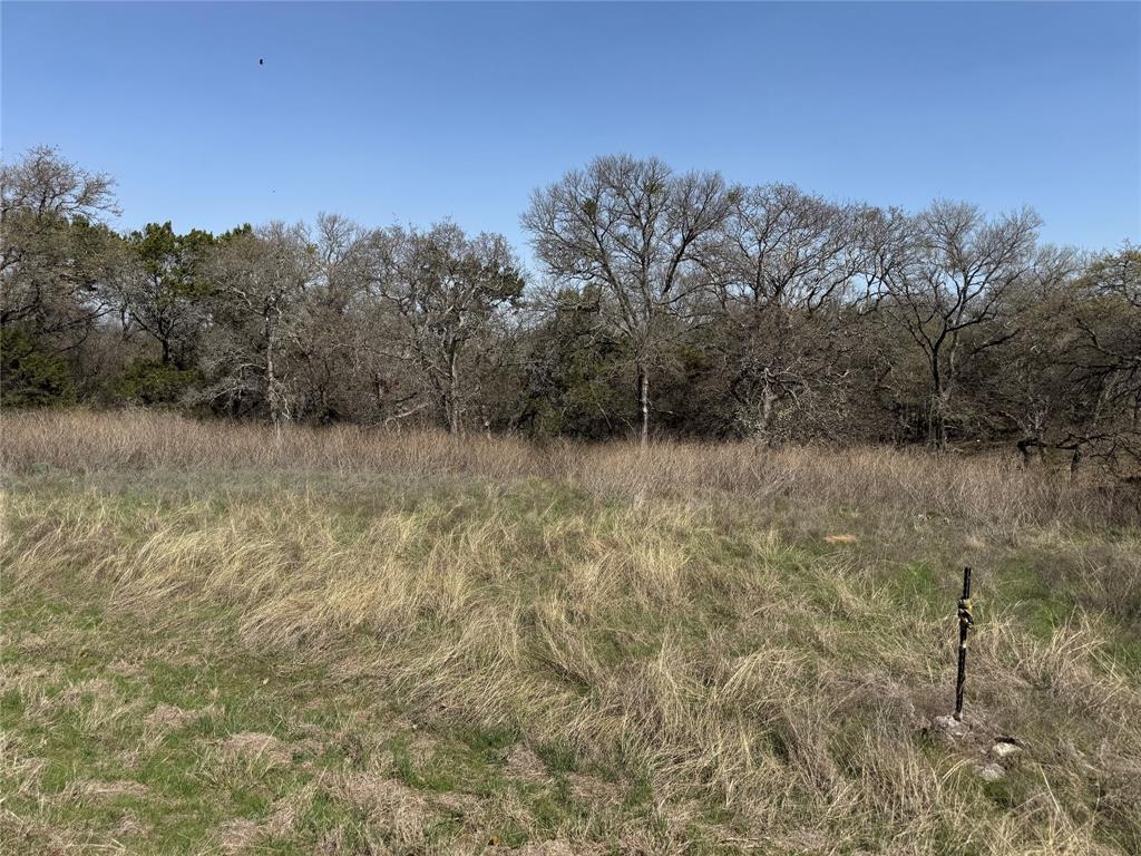 10053 Bluffview Court Whitney, TX 76692 - Photo 4 of 6 a view of a field with trees in the background