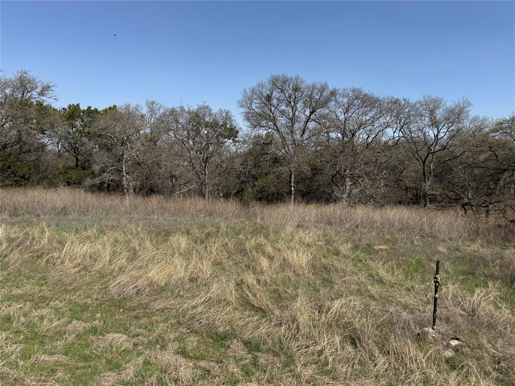 10053 Bluffview Court Whitney, TX 76692 - Photo 5 of 6 a view of a dry yard with trees in the background