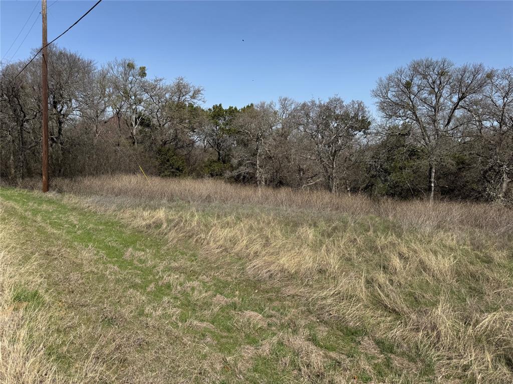 10053 Bluffview Court Whitney, TX 76692 - Photo 6 of 6 a view of outdoor space and trees