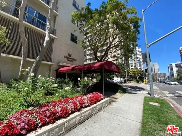 a view of a street with a flower plants