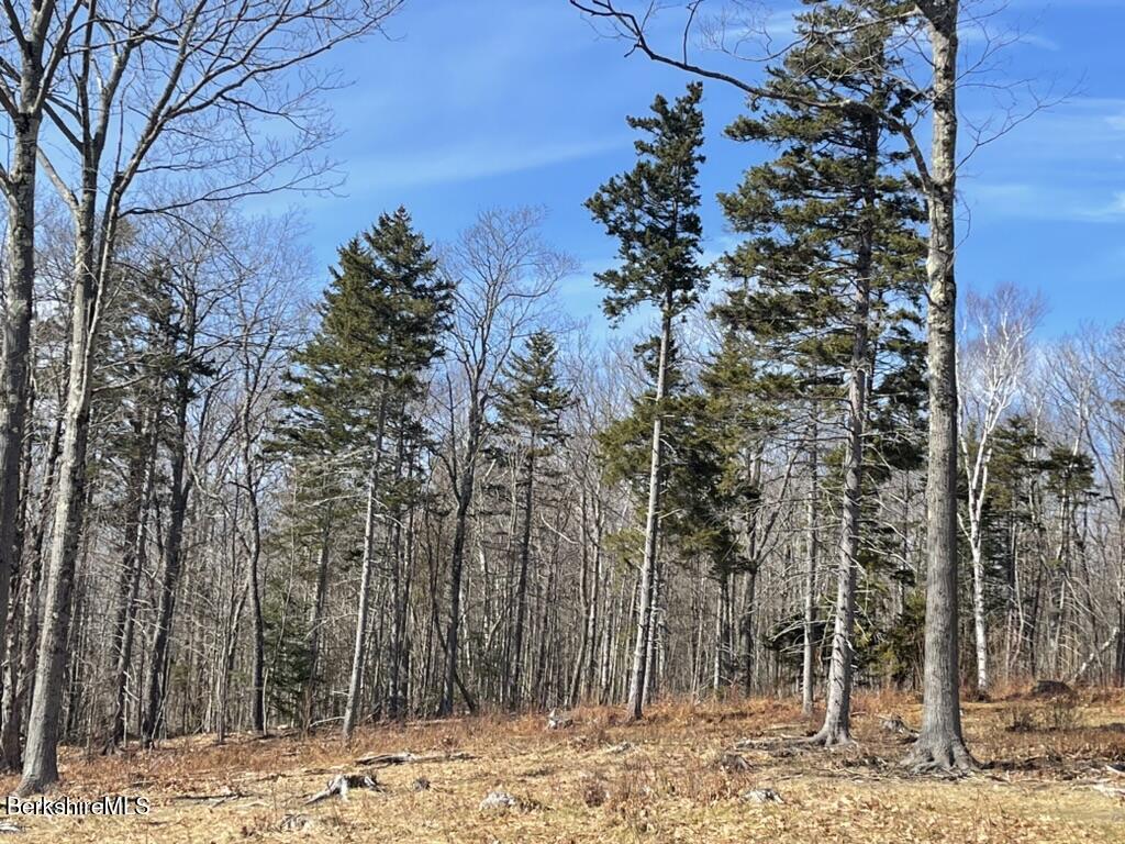 88 Church Road Florida, MA 01343 - Photo 6 of 10 a view of a backyard of the house