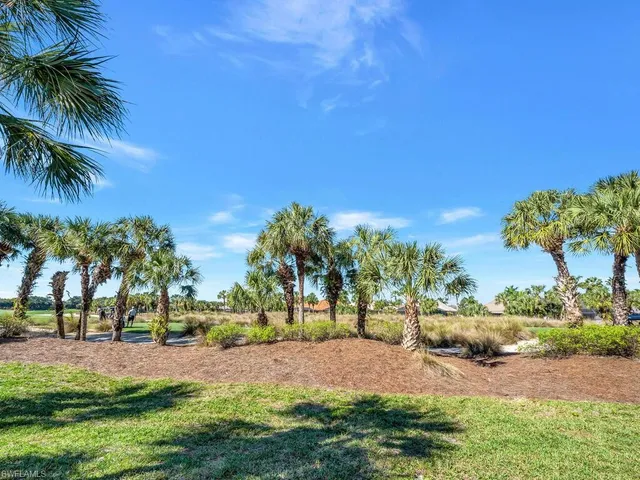a view of a park with palm trees