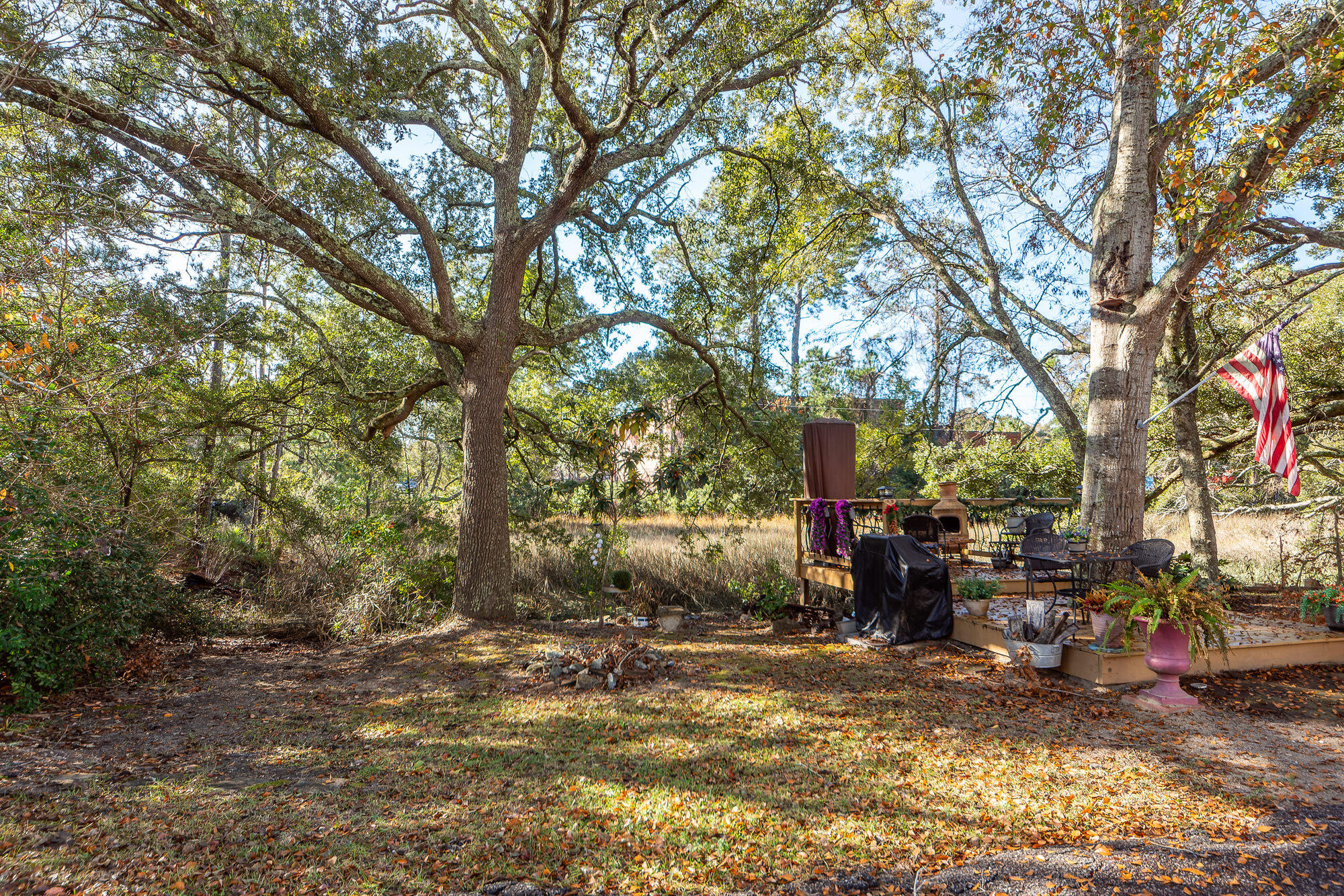 1411 Brockman Circle Charleston, SC 29412 - Photo 23 of 28 23