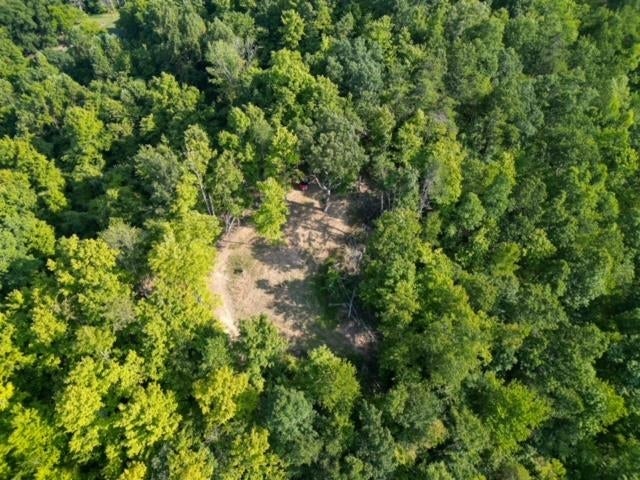 0 Lycans Branch Road Ona, WV 25545 - Photo 6 of 12 Gallery Image 6