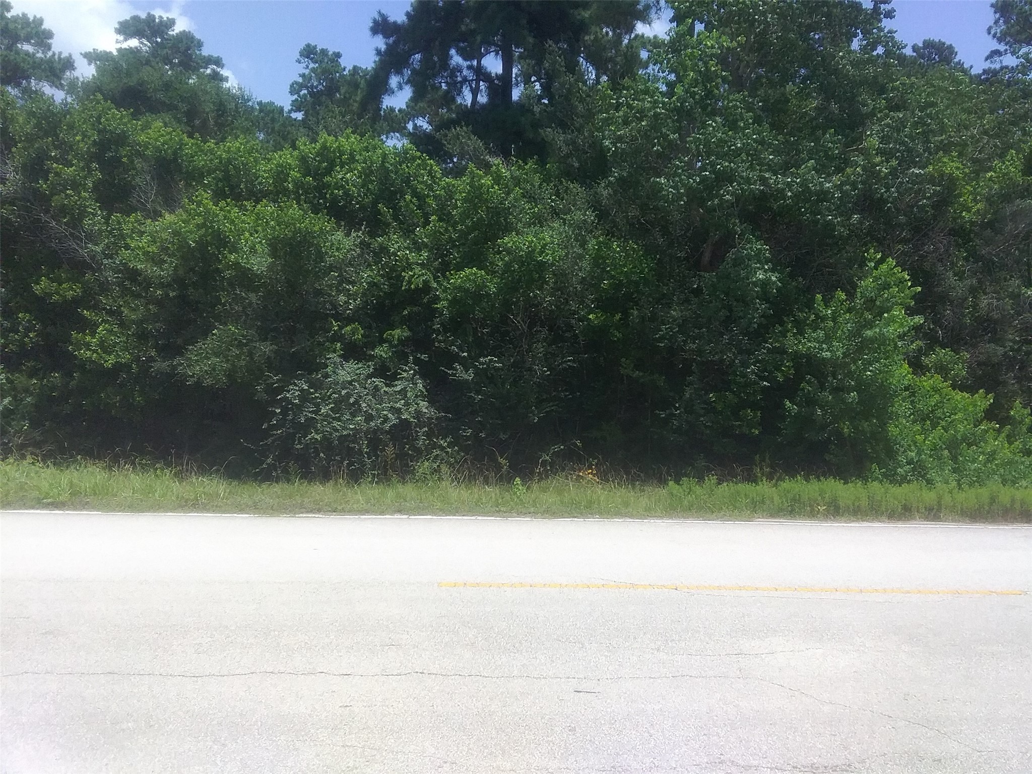 Lot 45 Moore Street Tomball, TX 77375 - Photo 2 of 9 a view of a yard