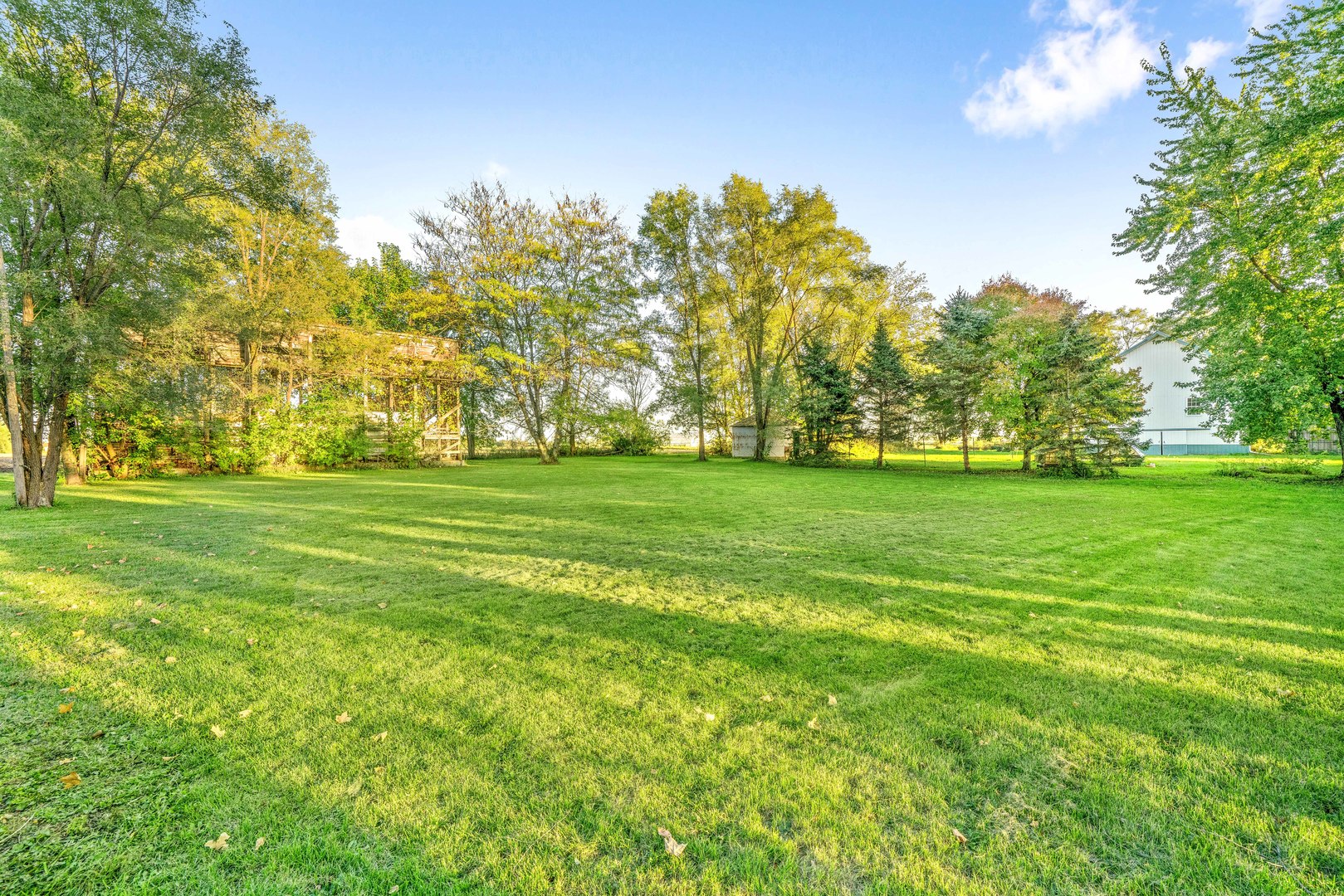 6N731 County Line Road Maple Park, IL 60151 - Photo 5 of 17 a grassy field with some trees in the background