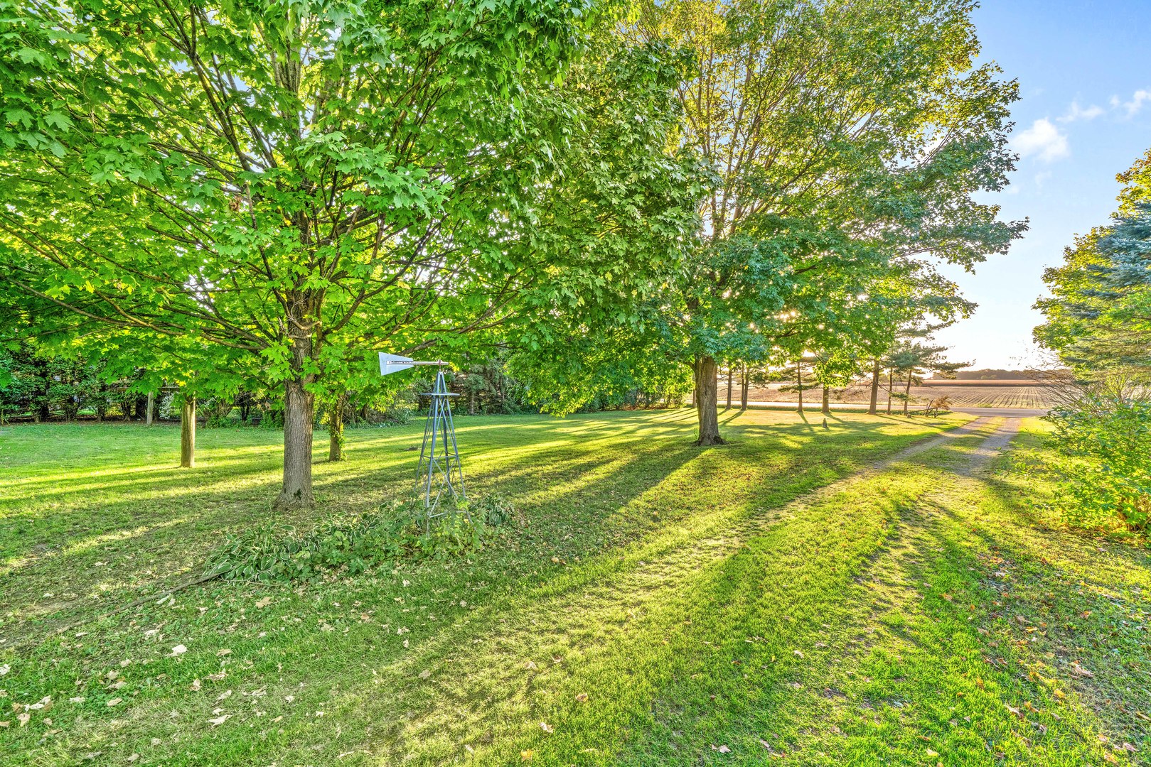 6N731 County Line Road Maple Park, IL 60151 - Photo 6 of 17 a view of a house with a big yard