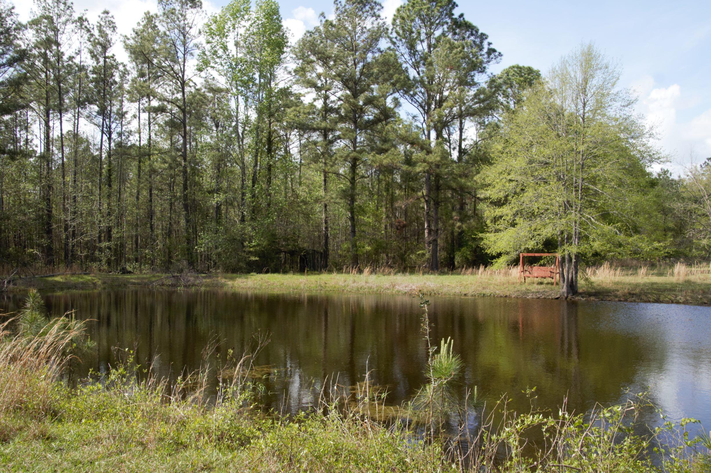 2222 Joy Road Chipley, FL 32428 - Photo 3 of 42