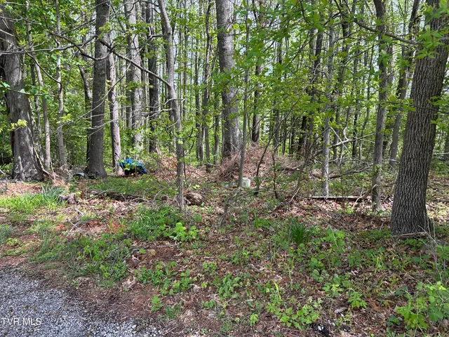 $17,500 | Tbd Highland Street Southeast, Wise, VA 24293