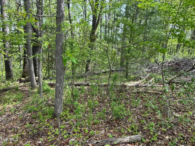 $17,500 | Tbd Highland Street Southeast, Wise, VA 24293