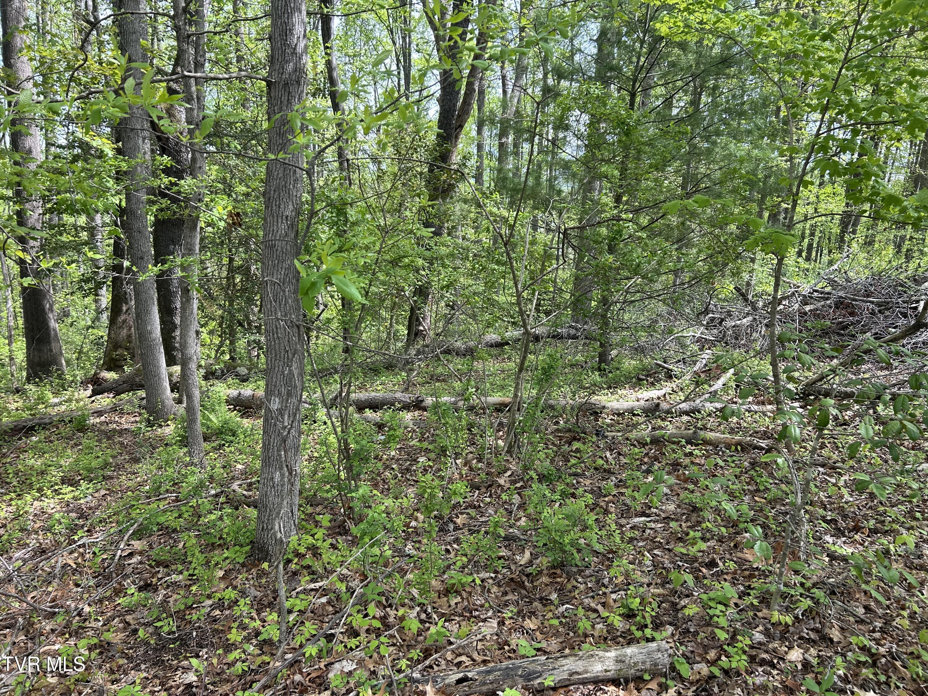 Tbd Highland Street Southeast Wise, VA 24293 - Photo 4 of 10 IMG_0854