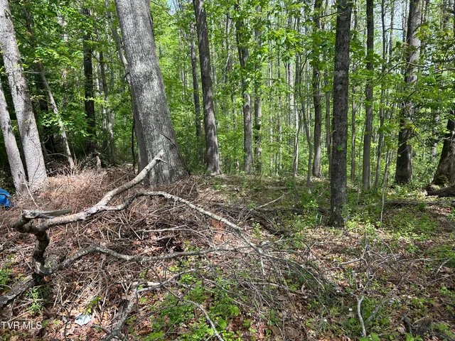 $17,500 | Tbd Highland Street Southeast, Wise, VA 24293