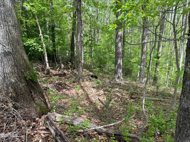 $17,500 | Tbd Highland Street Southeast, Wise, VA 24293