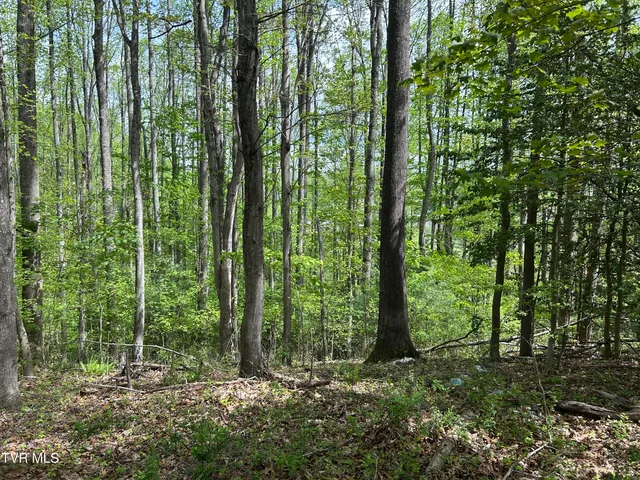 $17,500 | Tbd Highland Street Southeast, Wise, VA 24293