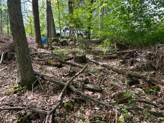 $17,500 | Tbd Highland Street Southeast, Wise, VA 24293