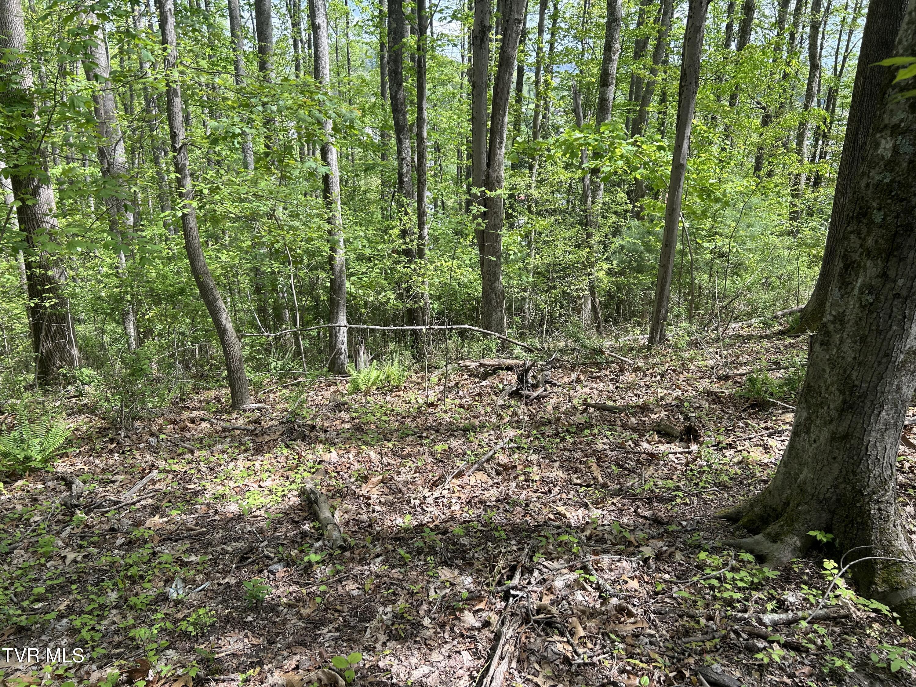 Tbd Highland Street Southeast Wise, VA 24293 - Photo 10 of 10 IMG_0859