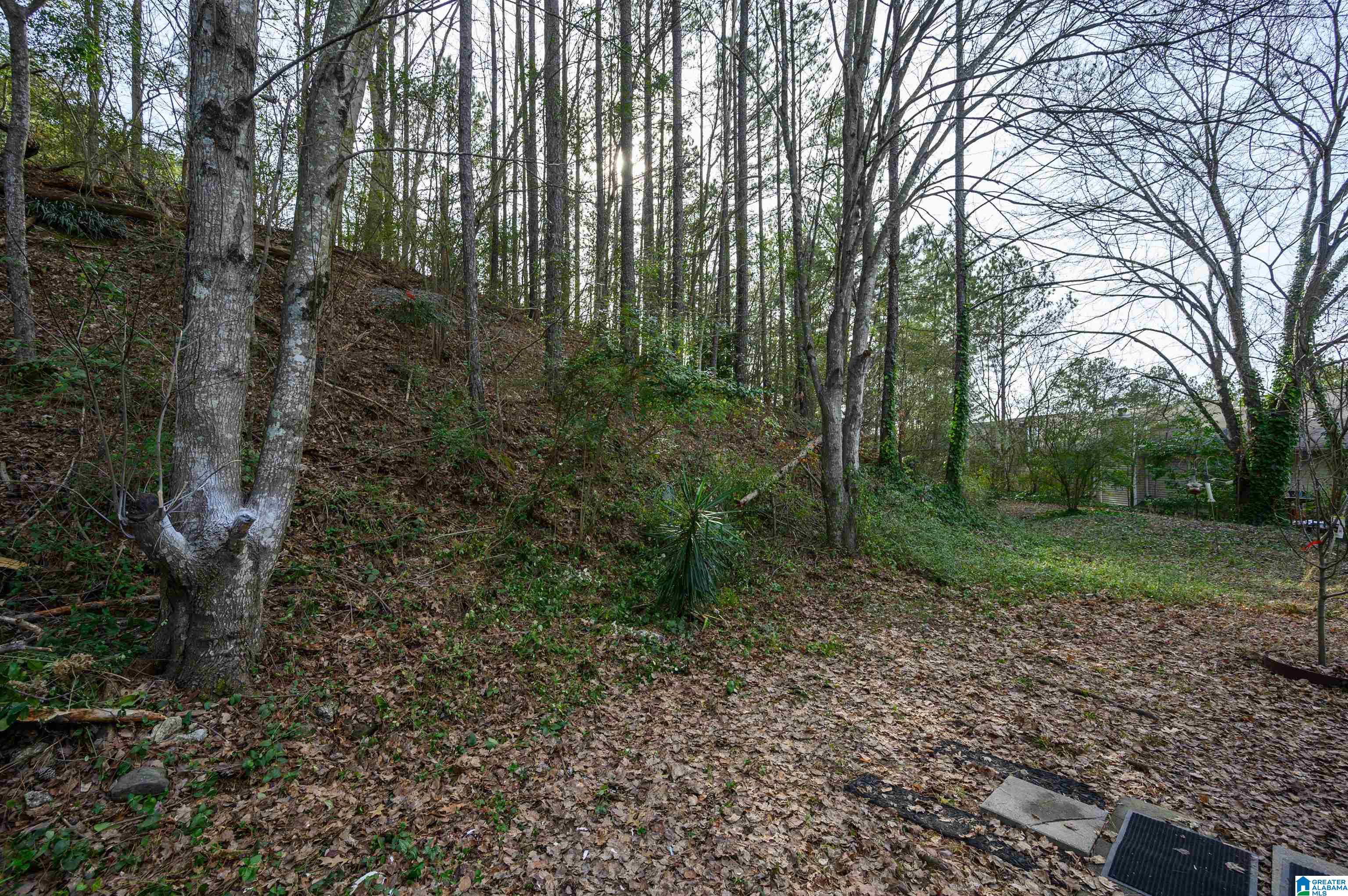 112 Windsor Ridge Drive Pelham, AL 35124 - Photo 38 of 40