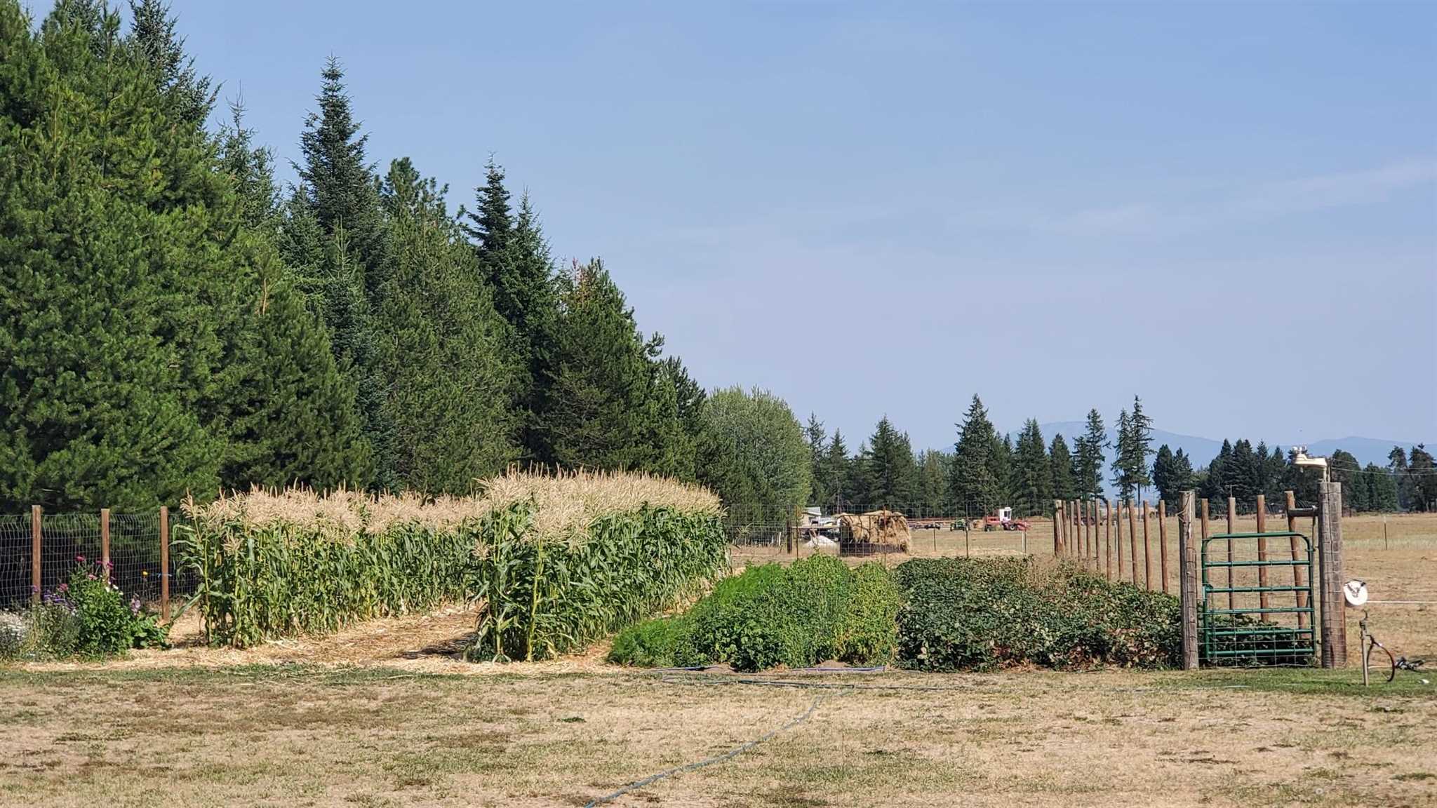 4730 Gibson Dahl Road Clayton, WA 99110 - Photo 29 of 50