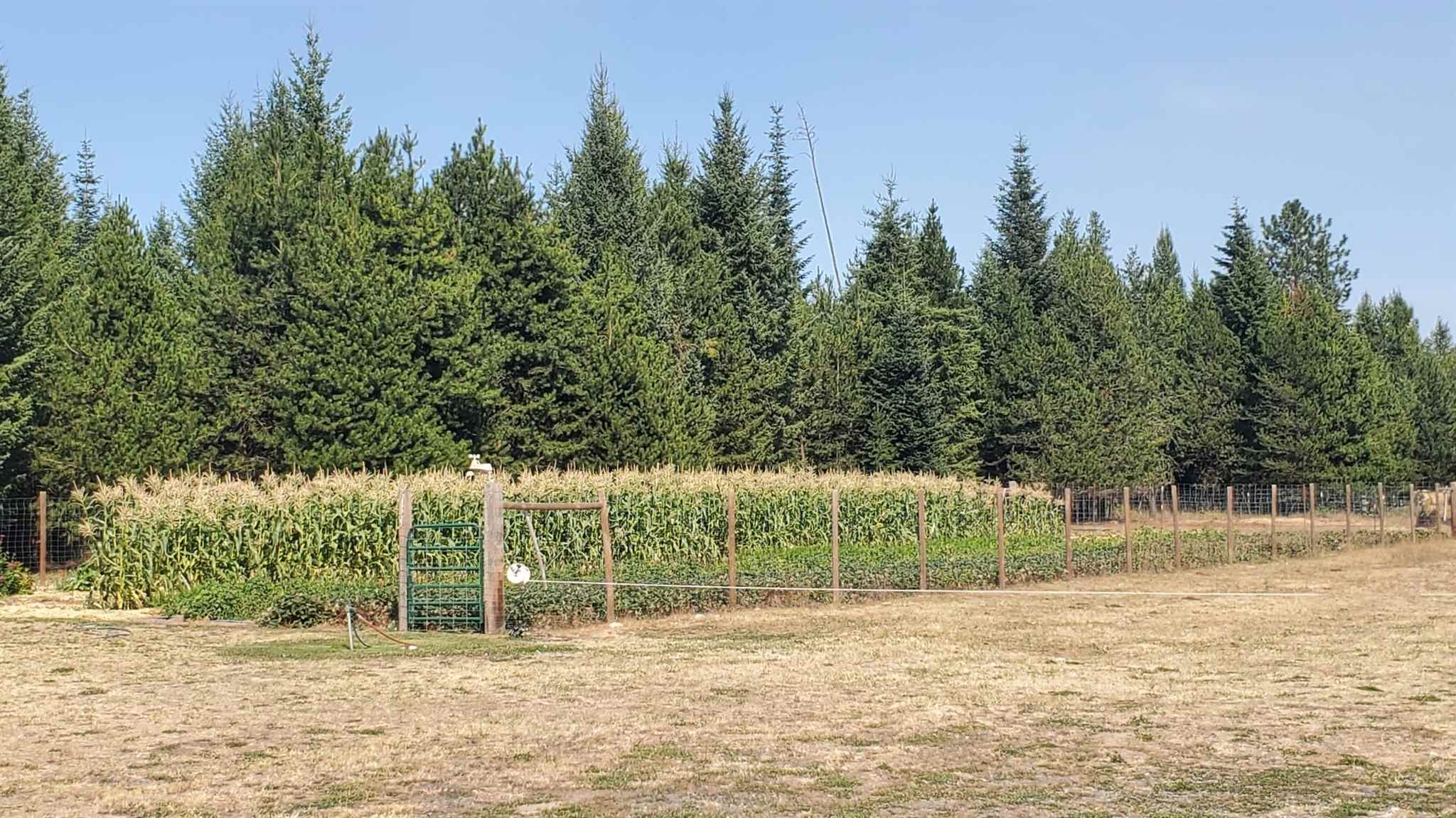 4730 Gibson Dahl Road Clayton, WA 99110 - Photo 49 of 50