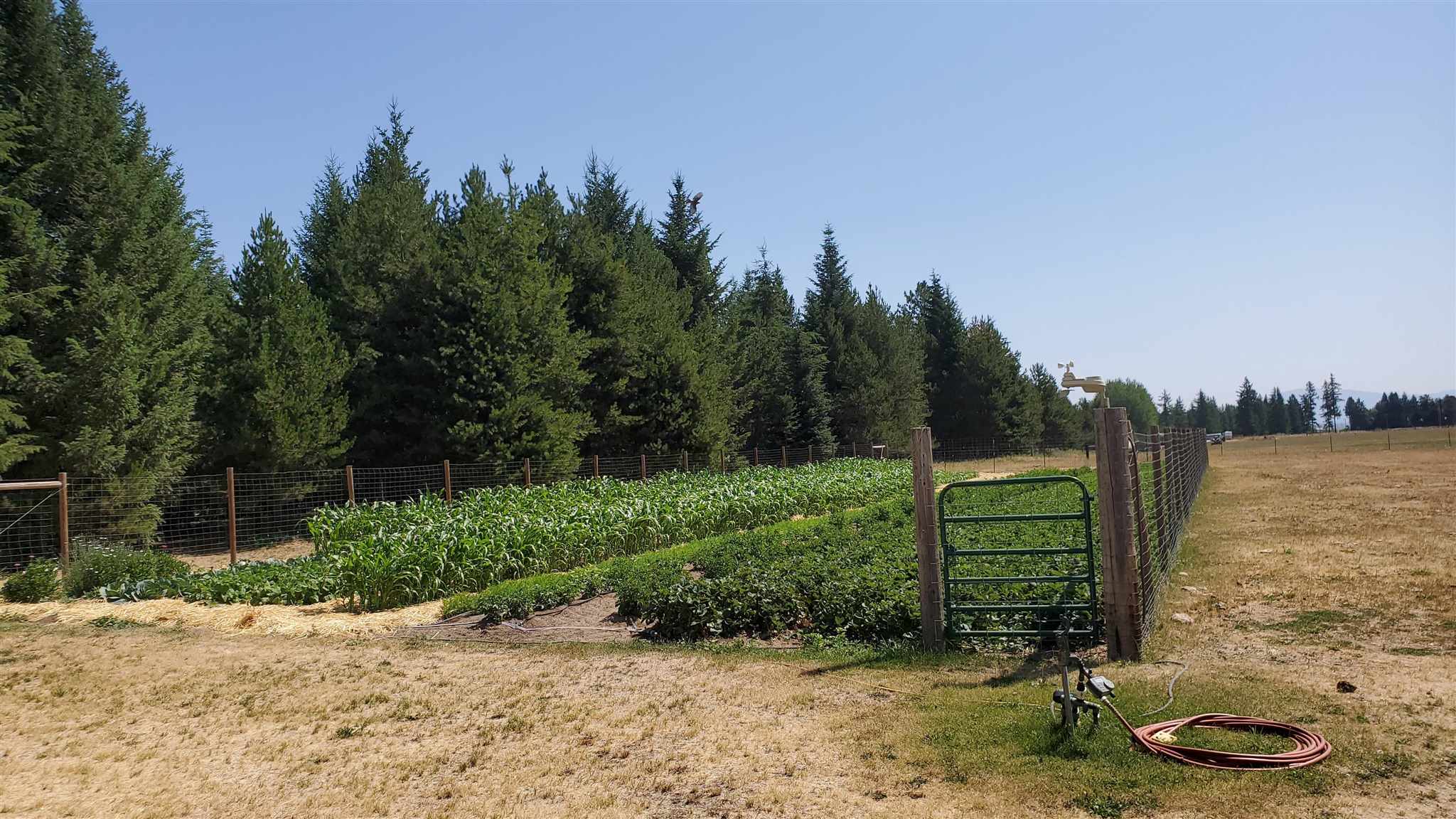 4730 Gibson Dahl Road Clayton, WA 99110 - Photo 50 of 50