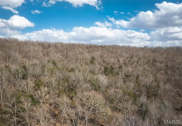 $469,999 | 1555 Madison 530, Fredericktown, MO 63645