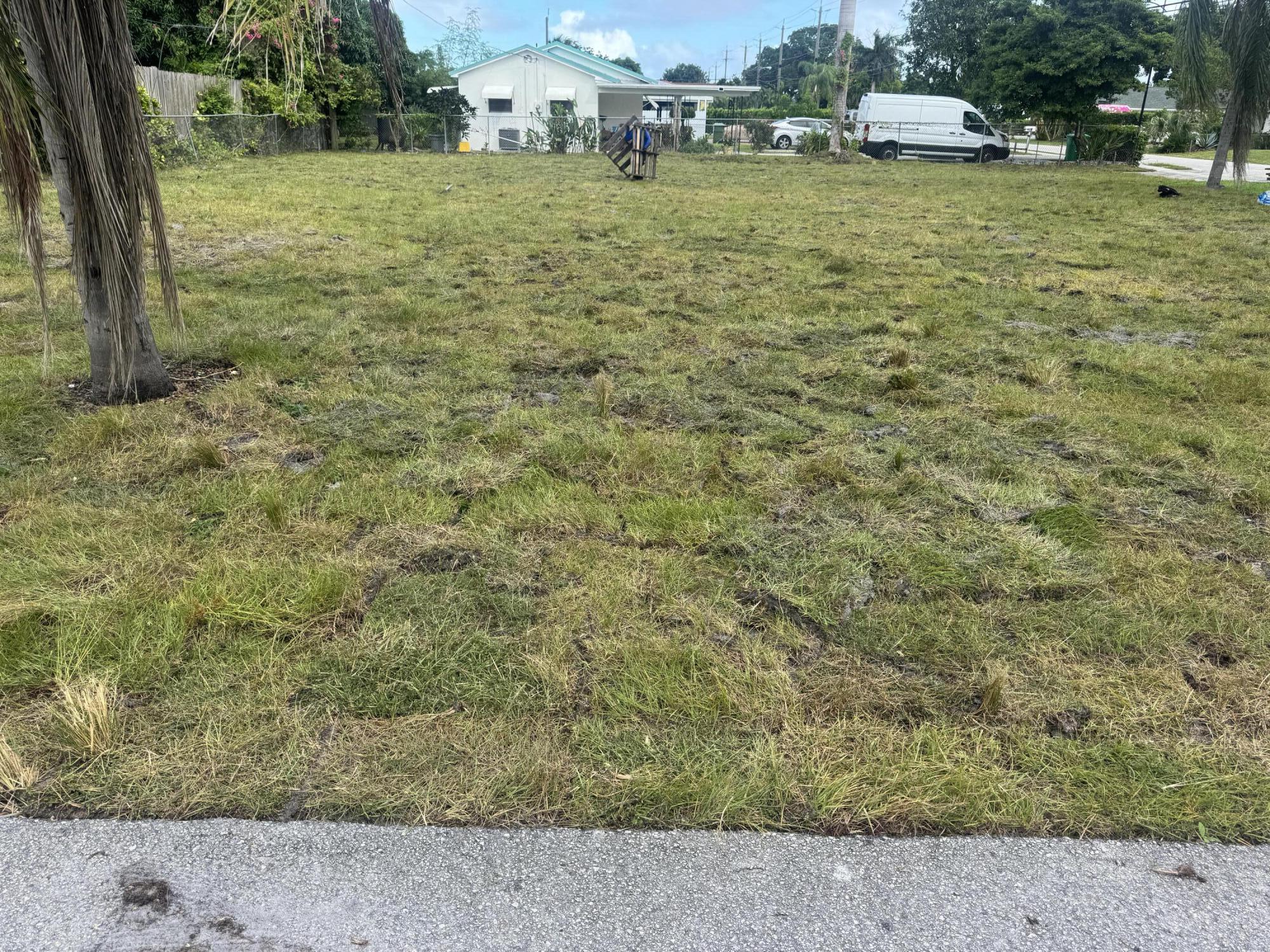 a view of a green field