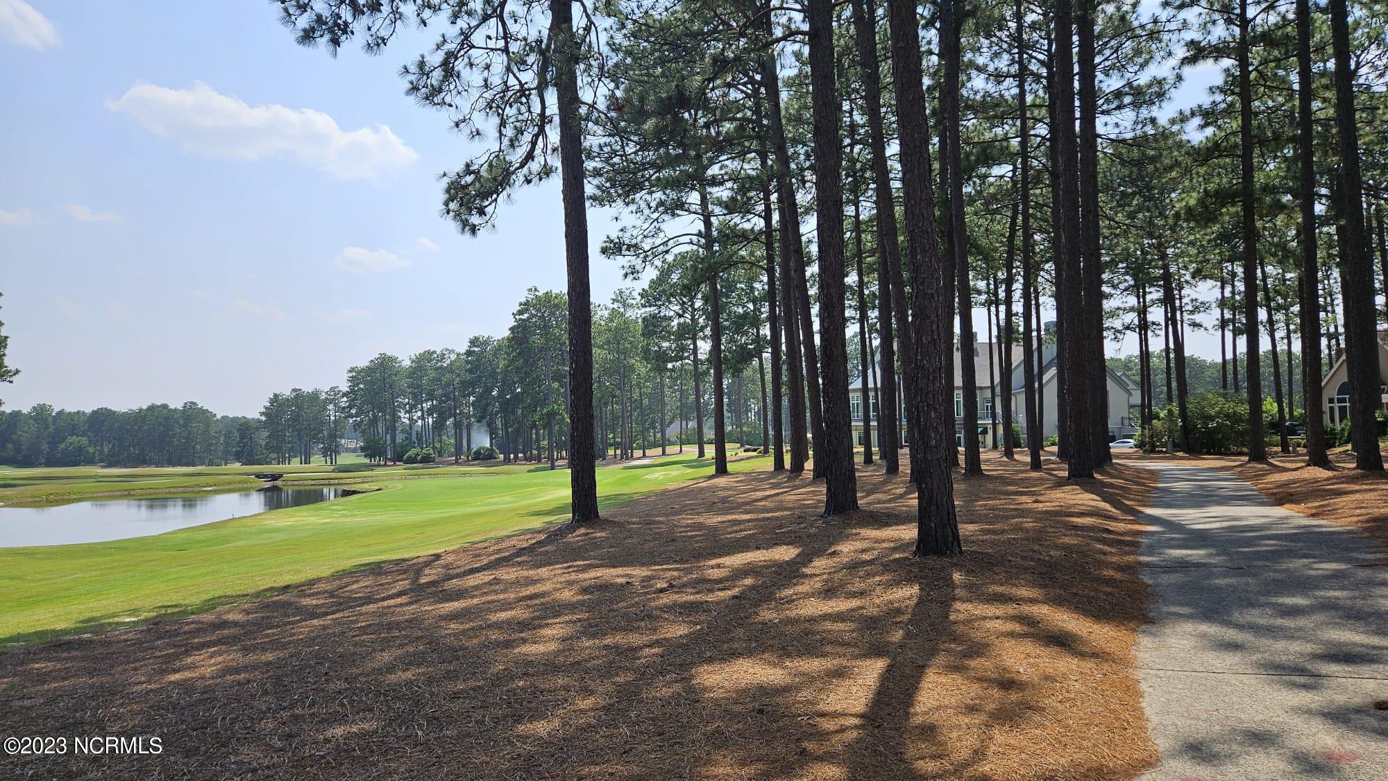 60 Cochrane Castle Circle Pinehurst, NC 28374 - Photo 33 of 54 13b5cbff-d668-499f-bbb8-92ce2d8940dd