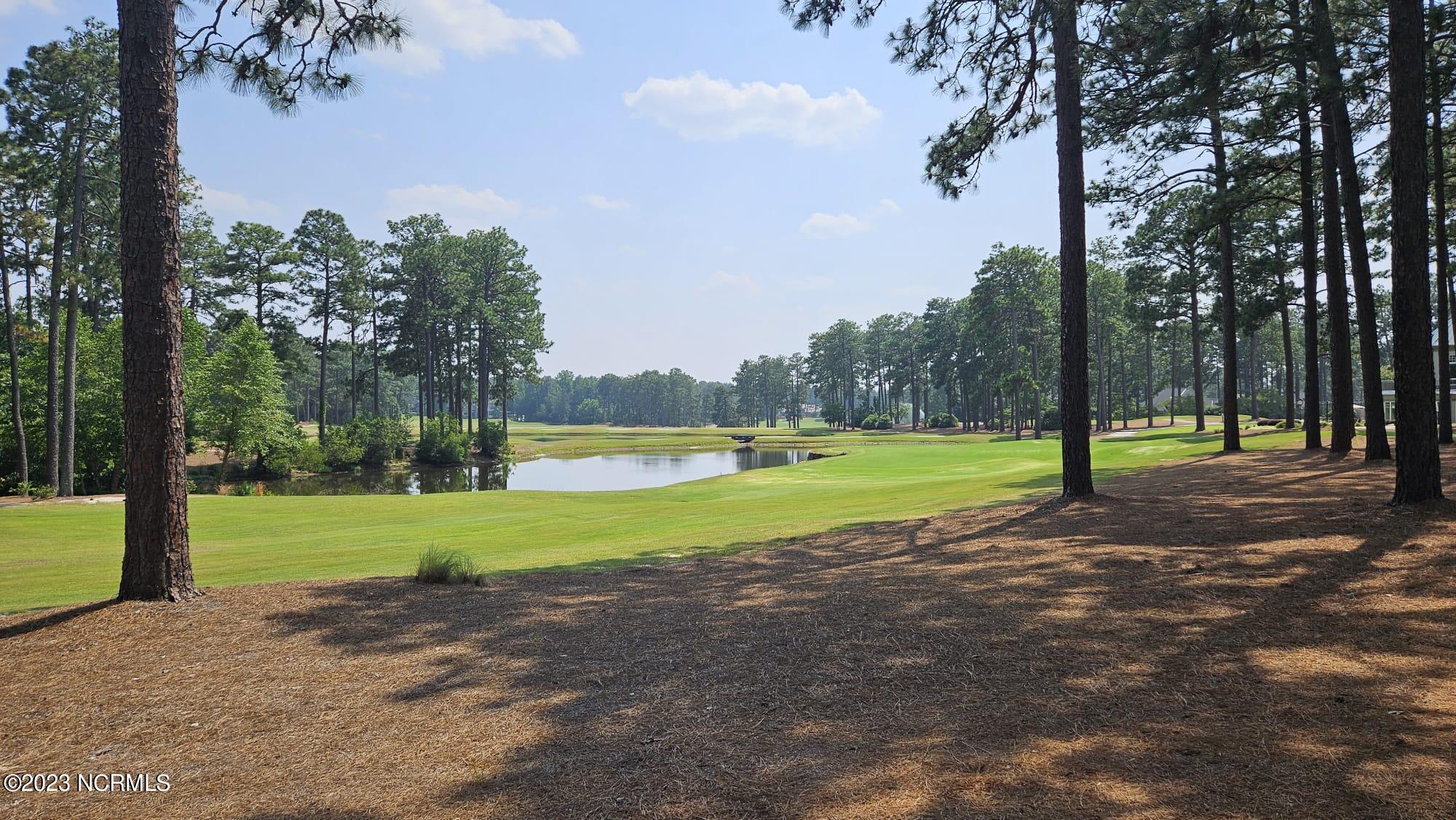 60 Cochrane Castle Circle Pinehurst, NC 28374 - Photo 52 of 54 1295f291-c7a9-402a-97b6-18d4822c27d8