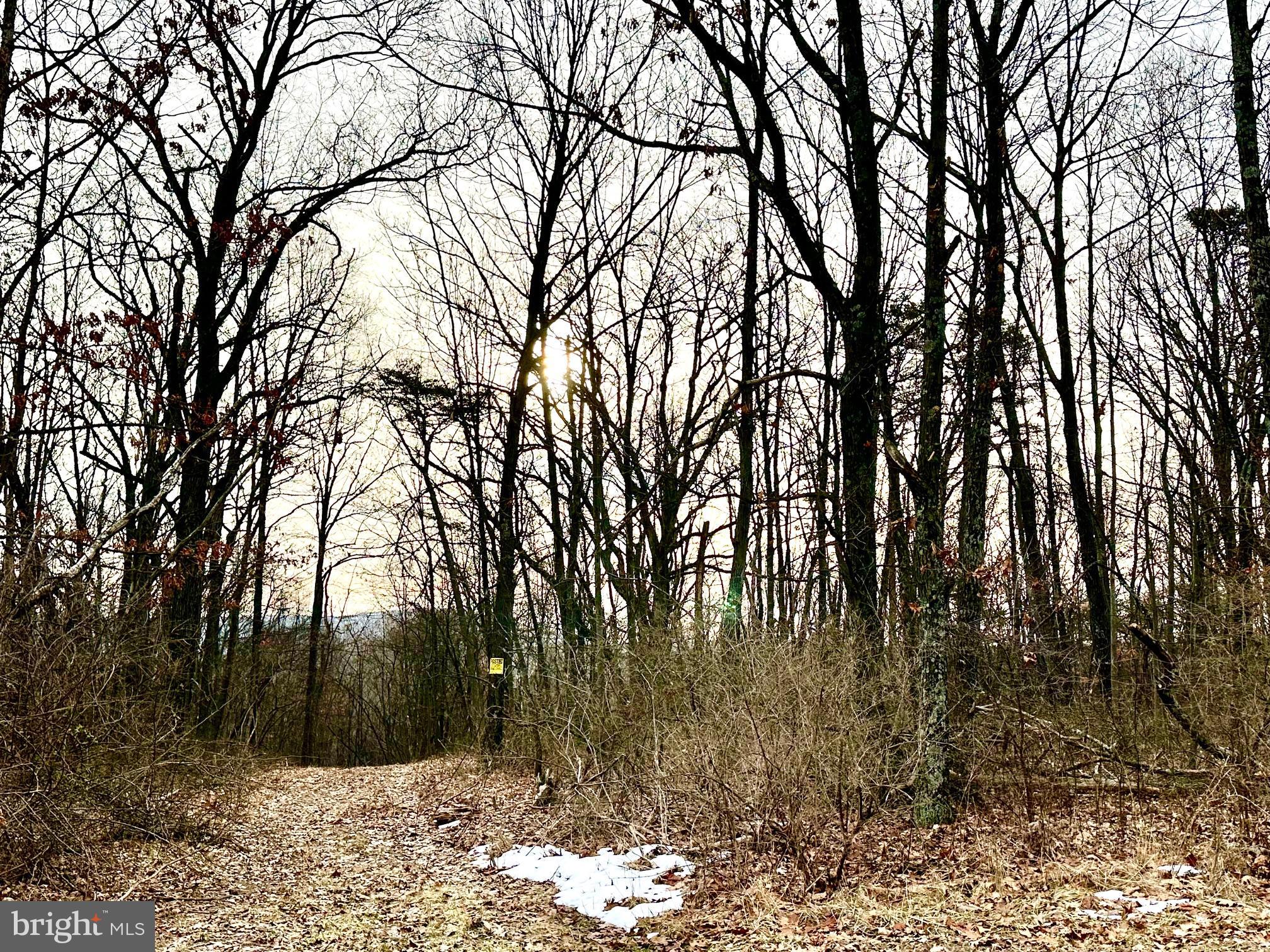 Lot 6 North Timber Rdg Rd  