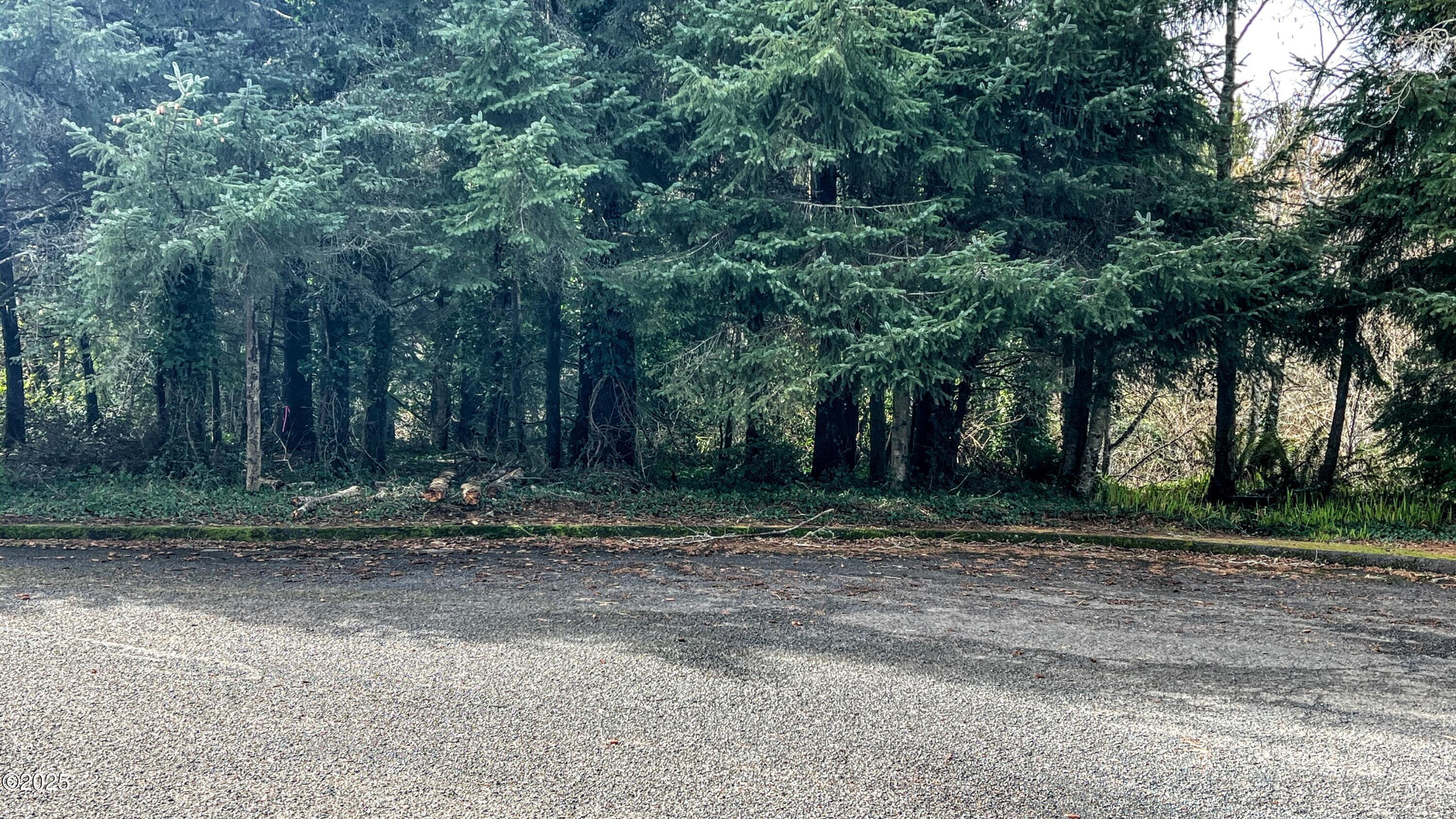 Tl2900 Southeast Rolph Court Waldport, OR 97394 - Photo 1 of 9 Lot
