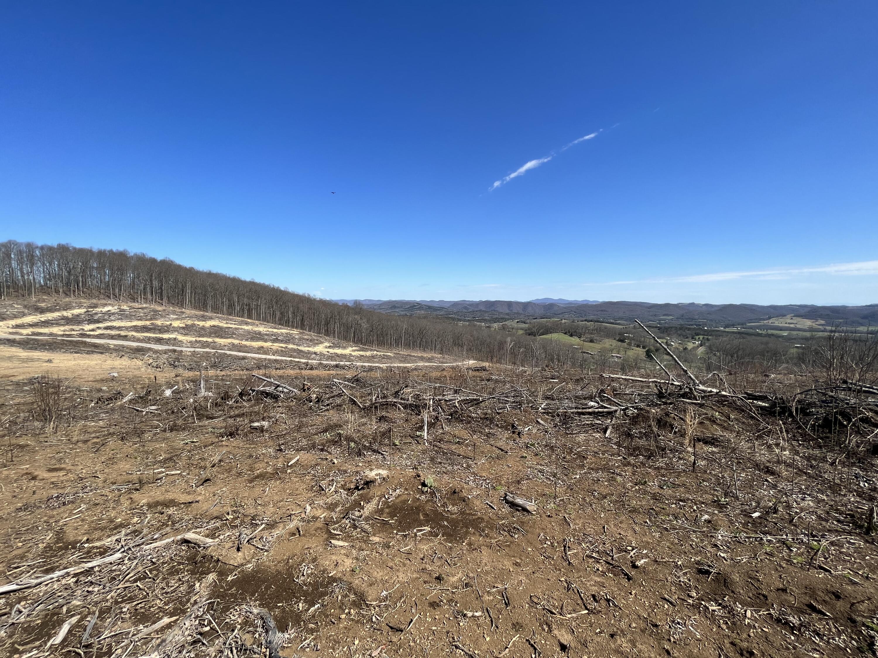 0 Bishoptown Road Duffield, VA 24244 - Photo 18 of 27 636AC924-5390-4E5A-B4F8-2F43CD94F3FB