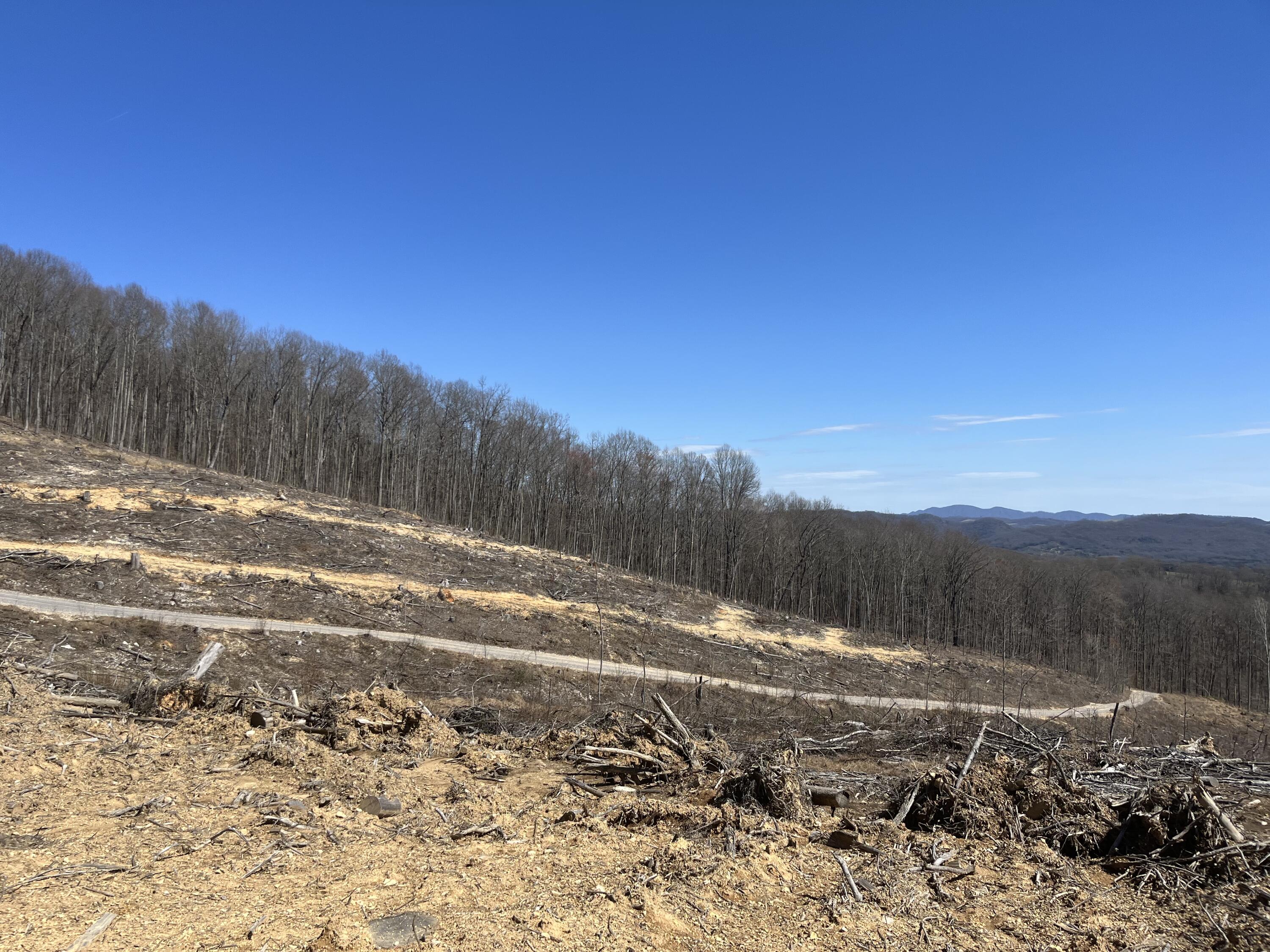 0 Bishoptown Road Duffield, VA 24244 - Photo 23 of 27 29D54E2A-09B5-4935-8434-82DB9619D986