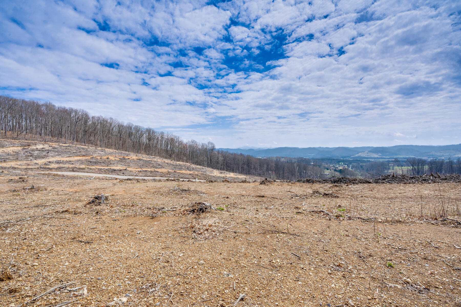 0 Bishoptown Road Duffield, VA 24244 - Photo 4 of 27 003