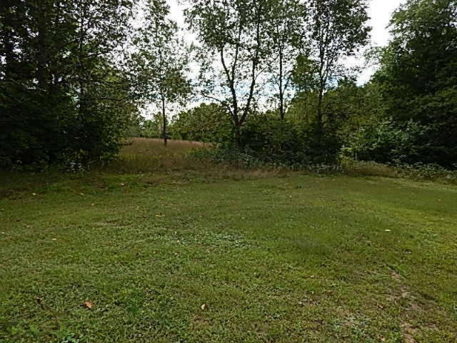 5205 West 30 1/4 Road Harrietta, MI 49638 - Photo 24 of 25 DSCN1070
