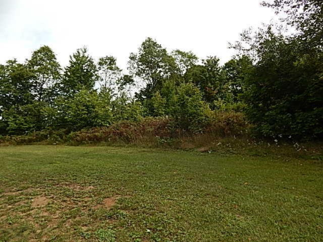 5205 West 30 1/4 Road Harrietta, MI 49638 - Photo 25 of 25 DSCN1071