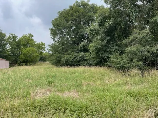 a view of a yard with plants and a bench