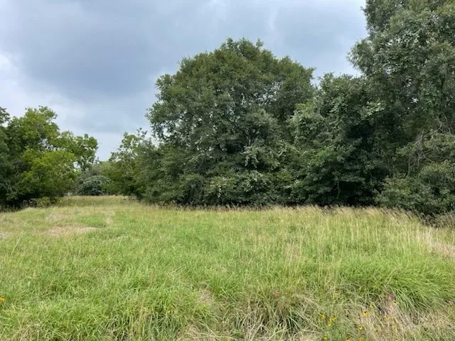 a backyard of a house with lots of green space and trees in the background
