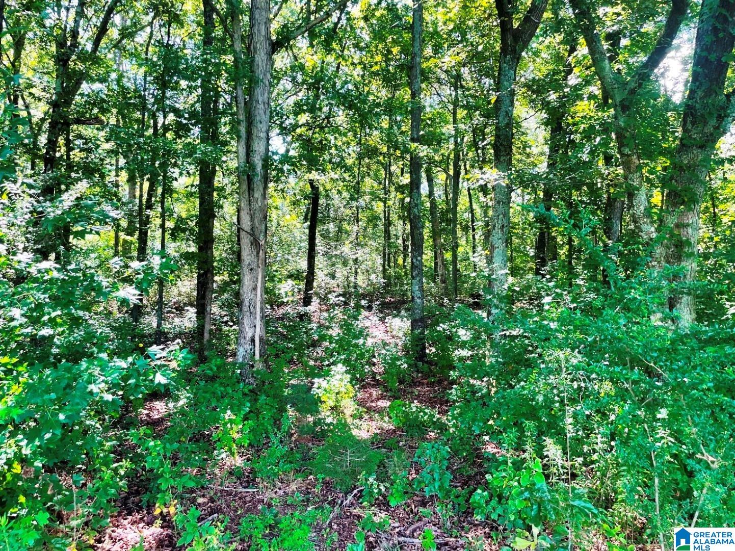 State Lake Road, Unit 24 04 Wedowee, AL 36278 - Photo 5 of 9